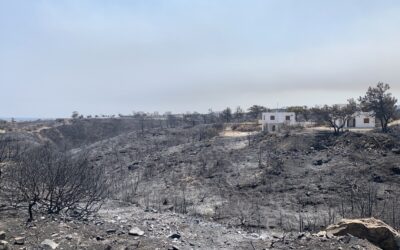 Διευκρινίσεις για τις ενισχύσεις σε παραγωγούς, για τις ζημίες από τις Πυρκαγιές 2023